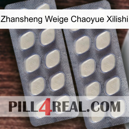 Zhansheng Weige Chaoyue Xilishi 07